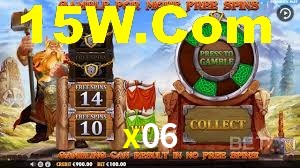 Premium Interface x06